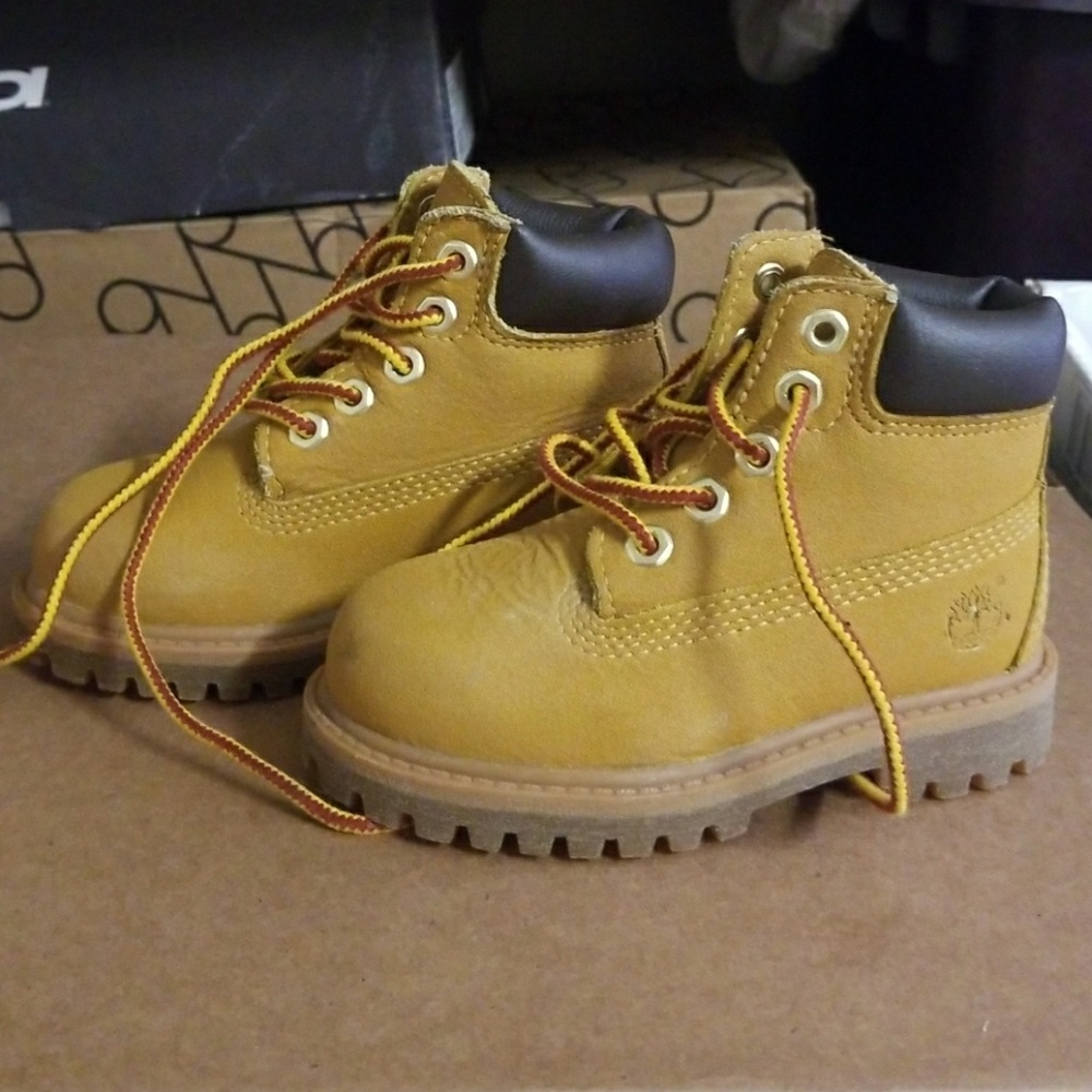 Toddler Timberland